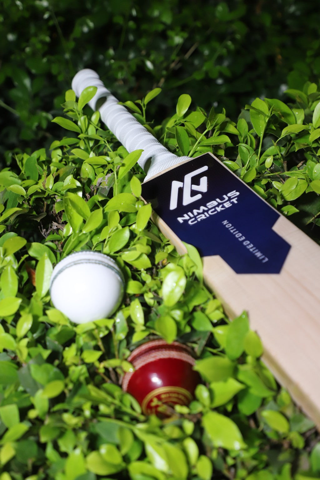 Nimbus Limited Edition Kashmir willow cricket bat